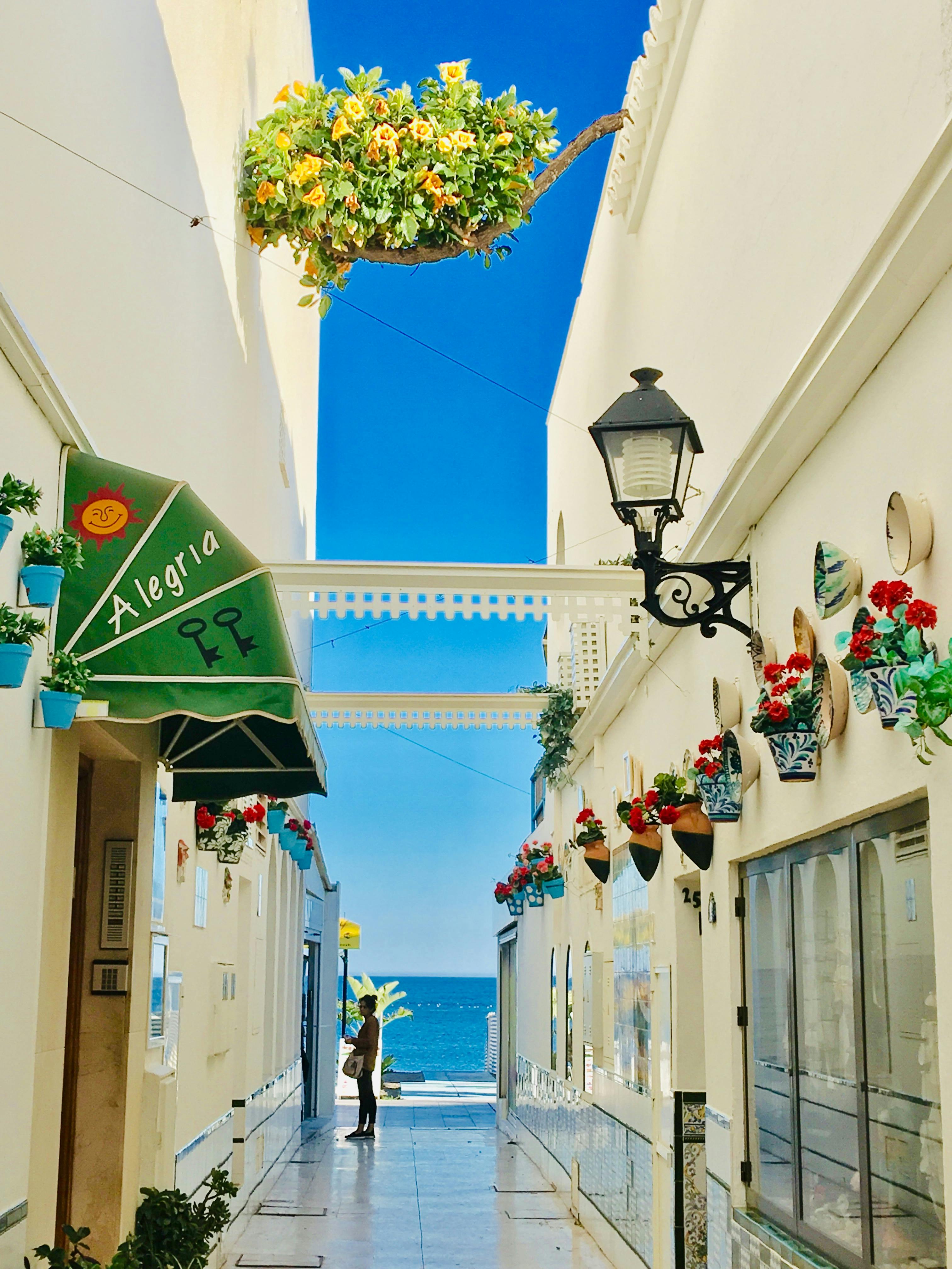 Colourful street in Torremolinos